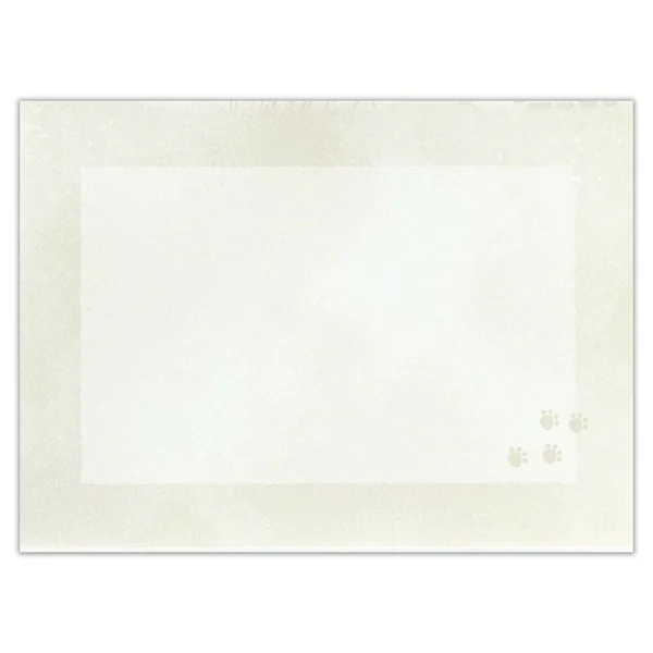 貓信紙套裝的信封的前面設計