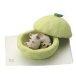 打開青檸的蓋子……就會看到熟睡中的可愛小貓