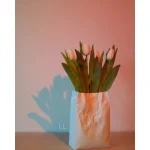 Ceramic Japan 褶皺系列花瓶插着花朵在燈光照耀下的形狀