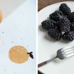 IZAWA 美濃燒瓷器仿粗陶橢圓盤 柚子 小魚 圖4