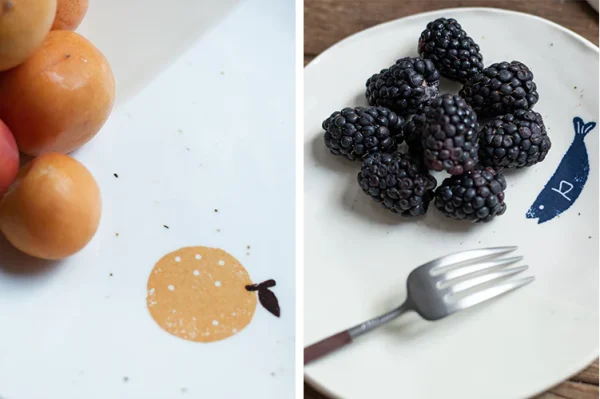 IZAWA 美濃燒瓷器仿粗陶橢圓盤 柚子 小魚 圖4