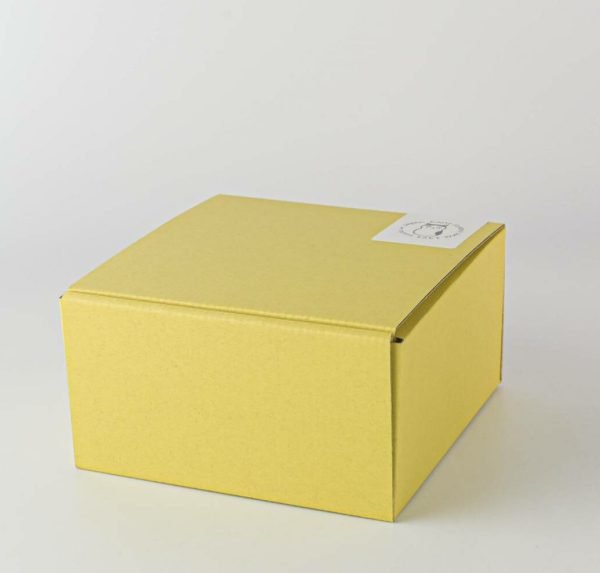 Shichita小貓浮雕餐盤 14cm 5隻套裝商品包裝盒