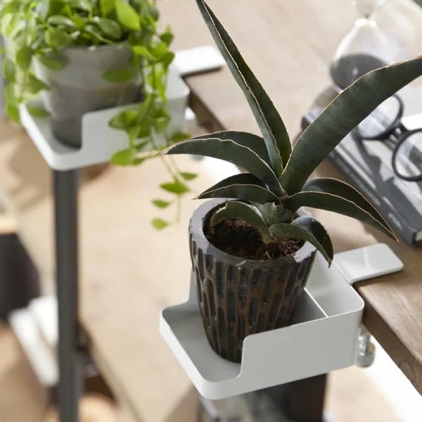 日本 TOWER 杯夾架白色款裝在枱面，上面放着一盤小盆菜