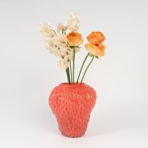 welms. 草莓造型花瓶 - 紅色 插着花朵的白色背景圖