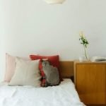 松尾美由紀 貓咪造型抱枕 - Leo 與其他咕𠱸一起放在床上