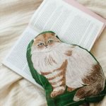 松尾美由紀 貓咪造型抱枕 - Lin 放在床上,下面放着一本打開的書