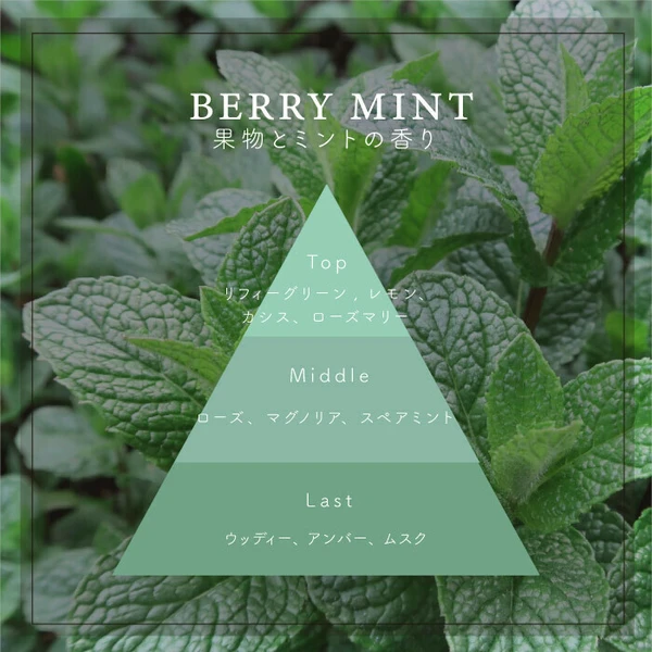 薄荷香味日本製 Botanicfolk 大豆蠟香氛蠟燭Berry Mint 的日文簡介圖。