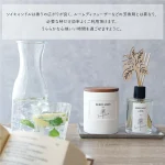 薄荷香味日本製 Botanicfolk 大豆蠟香氛蠟燭的日文簡介圖 2。