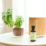 日本製造 生活の木 香薰精油 - Smooth Drive, 放在桌面