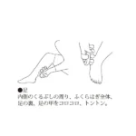 日本製 木製按摩器, 腿部按摩使用說明展示