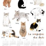 THE CAT COMPANY